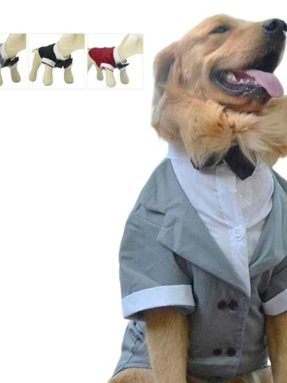 Dog Tuxedo Suit Jacket XL